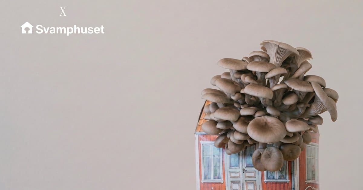 Laga svamp tillsammans med Svamphuset